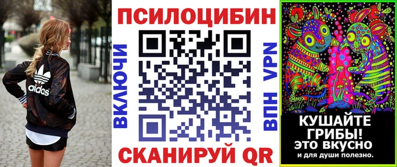 Псилоцибиновые грибы GOLDEN TEACHER  Купить  Сланцы 