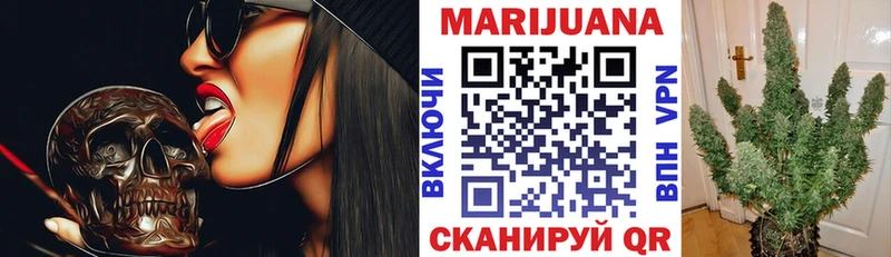 МАРИХУАНА план  Купить  Сланцы 